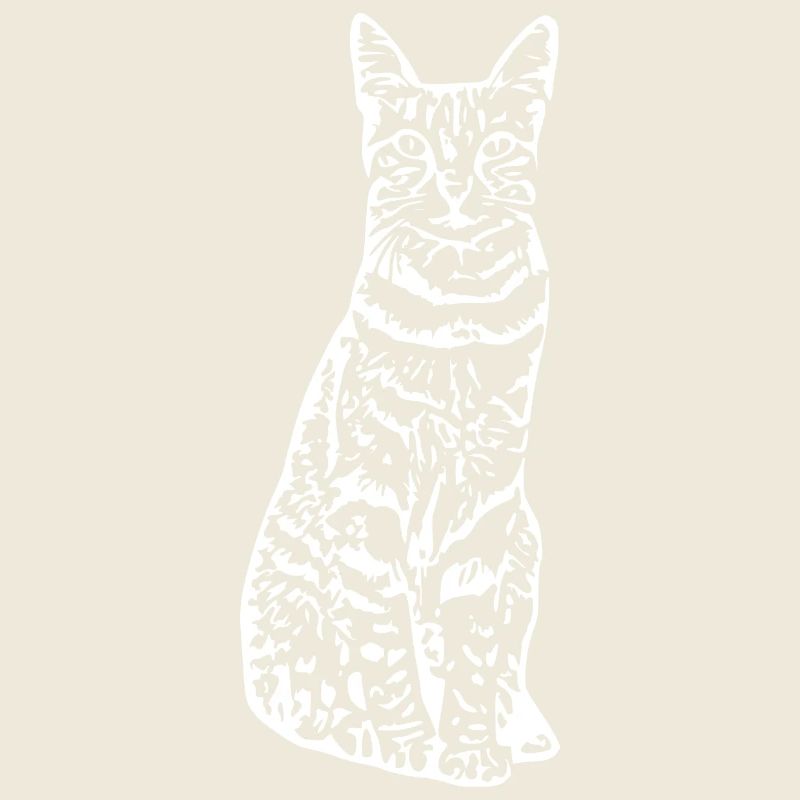 Cat cat kitten