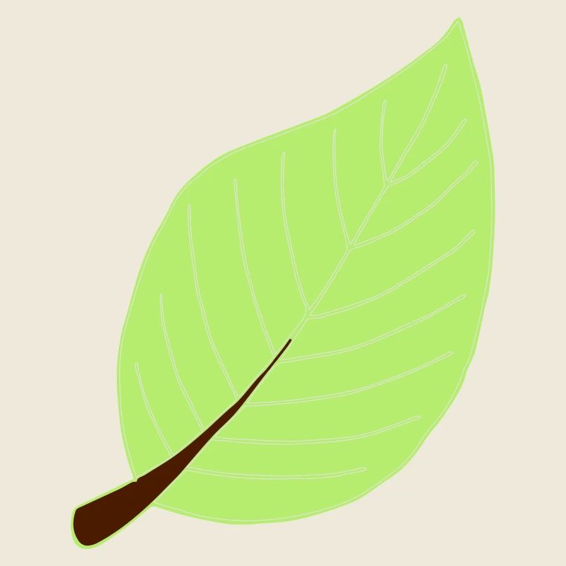 leaf