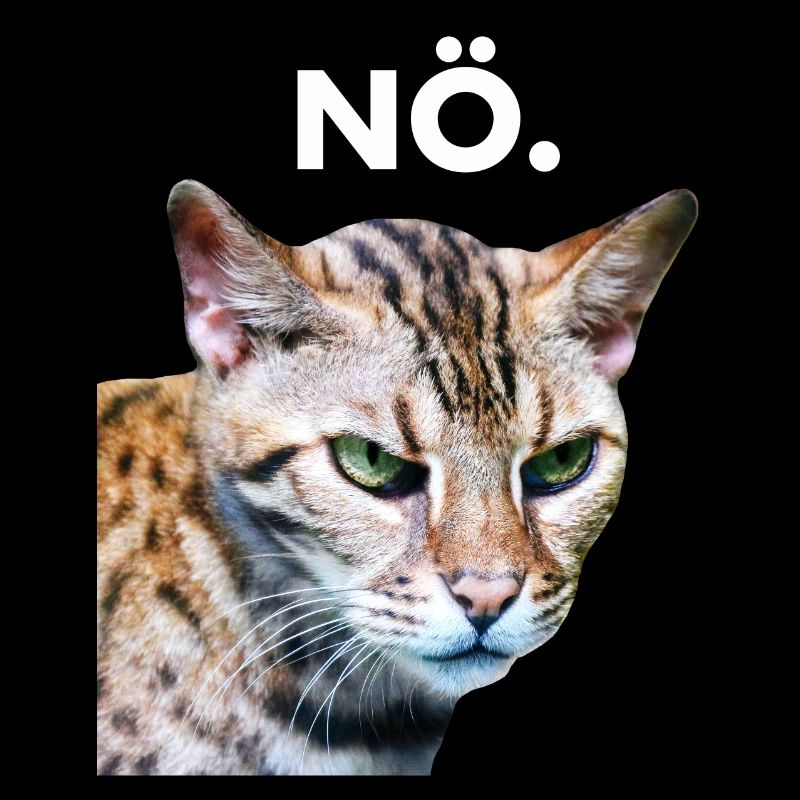 NÖ. Grummelige Katze Schlechte Laune
