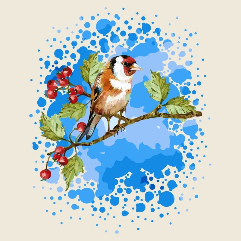 oiseau