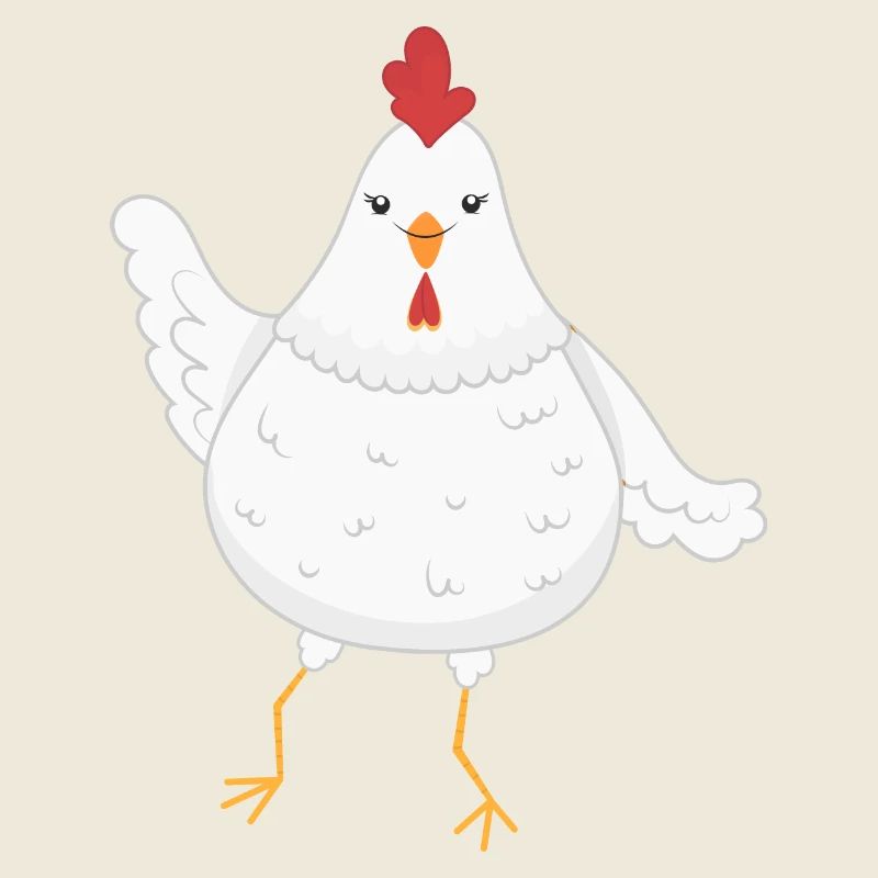 Chicken chickens