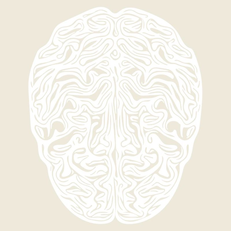 Gehirn - Anatomischer Vector