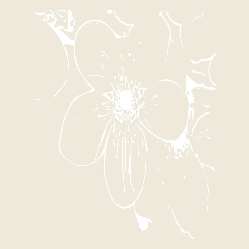 Abstract Flower / Line / Pattern / Nature / White