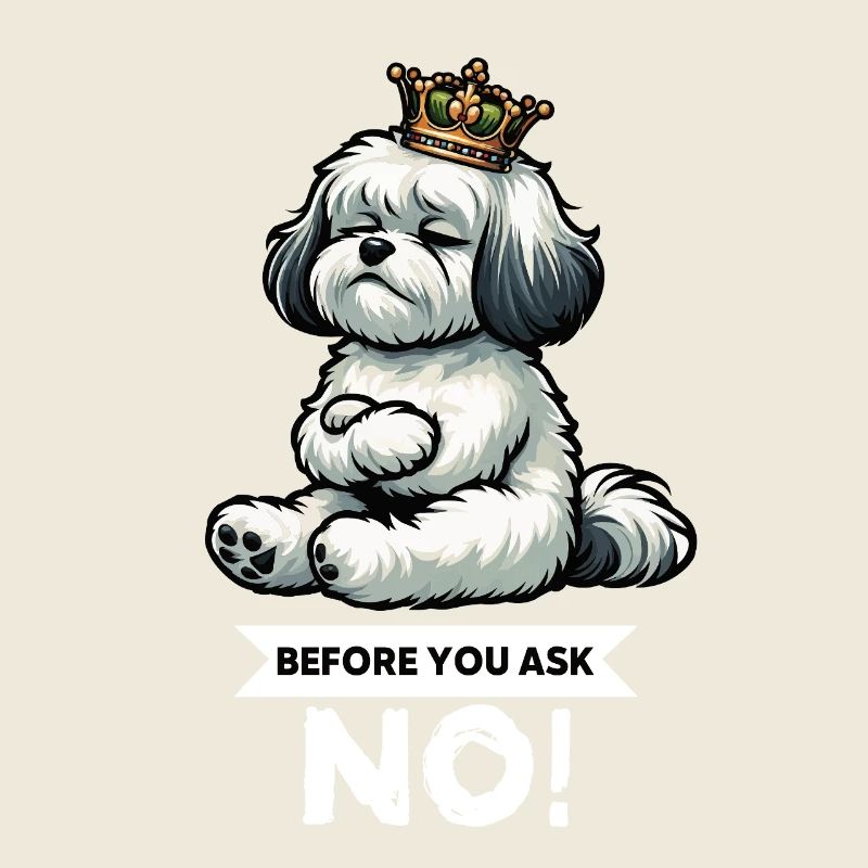 Before You Ask Havaneser Havaneserhalter Havanese