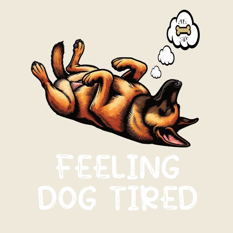 Feeling Dog Tired Malinois Belgian Shepherd