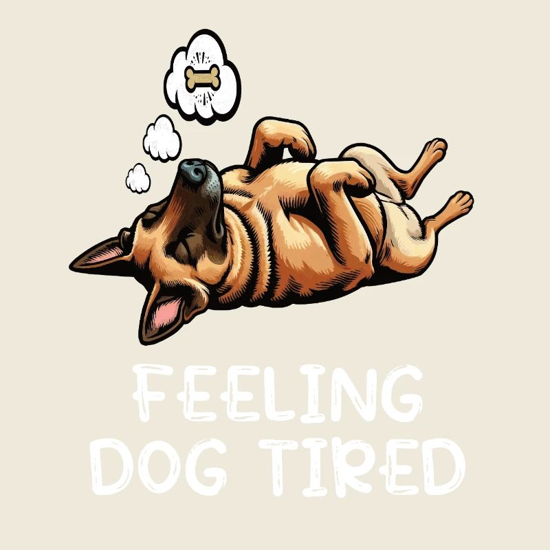 Feeling Dog Tired Malinois Belgian Shepherd