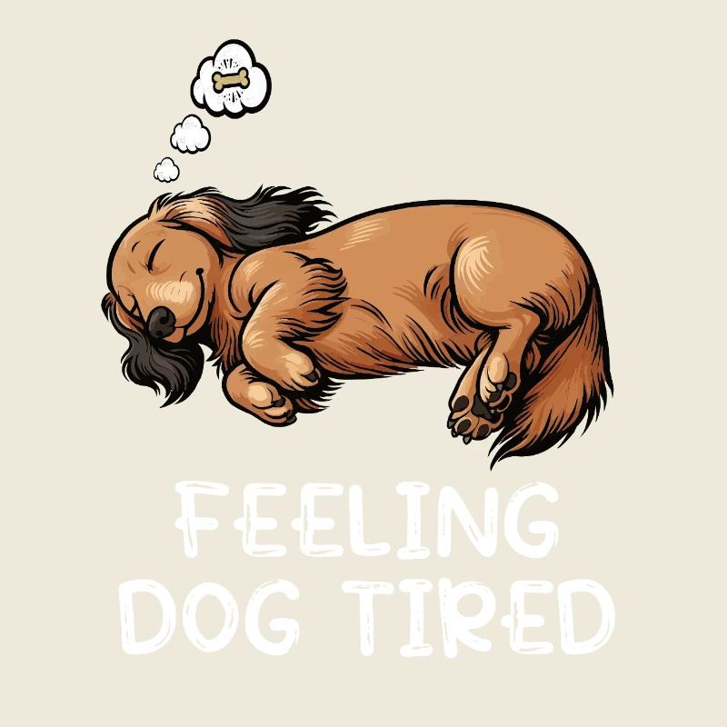 Feeling Dog Tired Langhaardackel Dackel Dachshund
