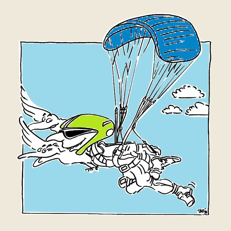 Paraglider