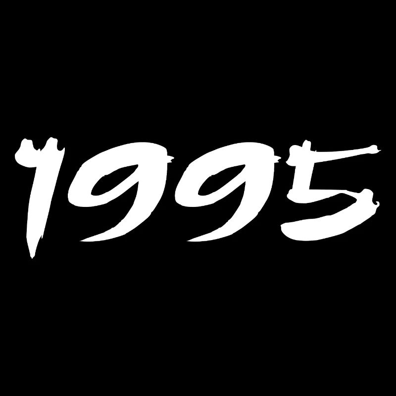 1995 30th Anniversary Gift 1995 Retro 1995