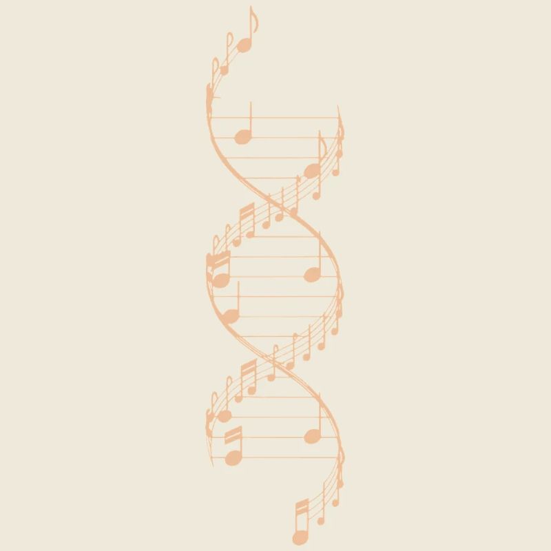 DNA Music Notes Musical Rhythms Piano Musician