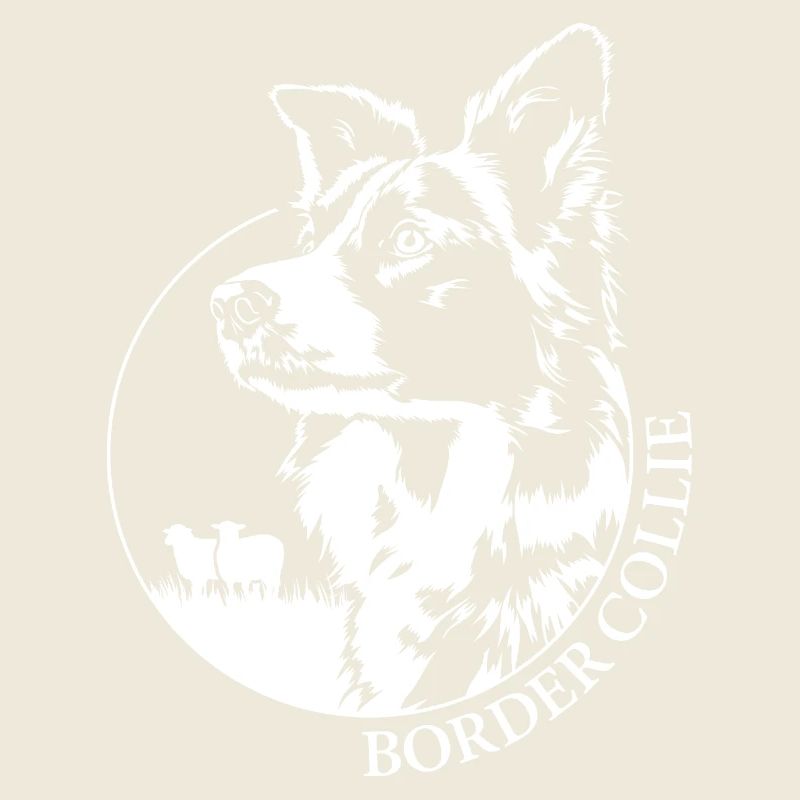 Working Border Collie Portrait Hund Hunde Wilsigns