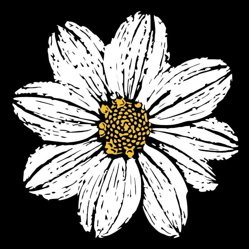 Fleur Fleurs Blanches Idées Cadeaux Noël