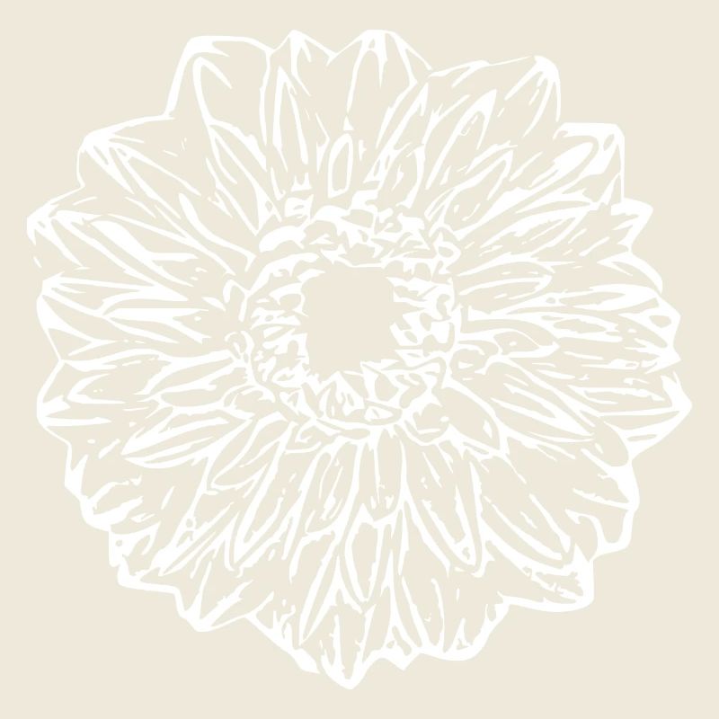 Fleur, Blanc, Fleur Blanche