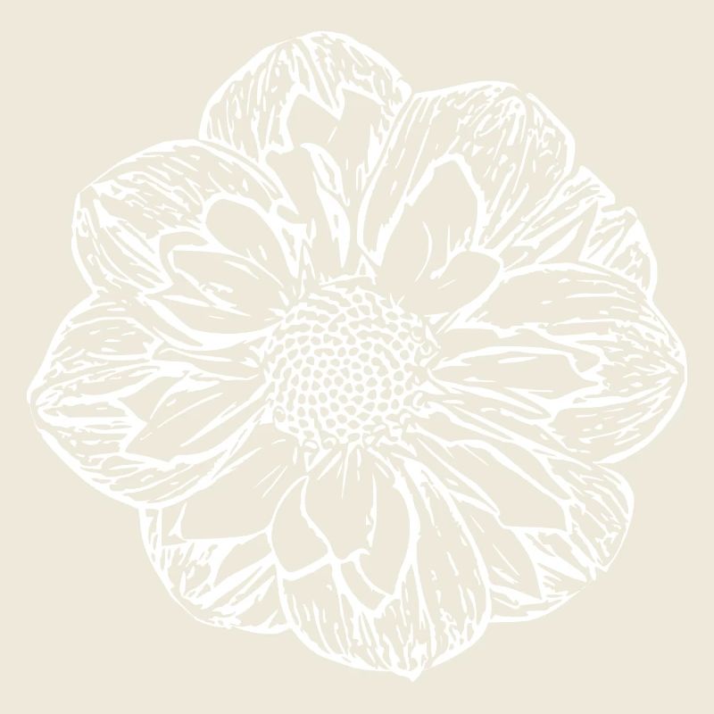 Fleur, Blanc, Fleur Blanche
