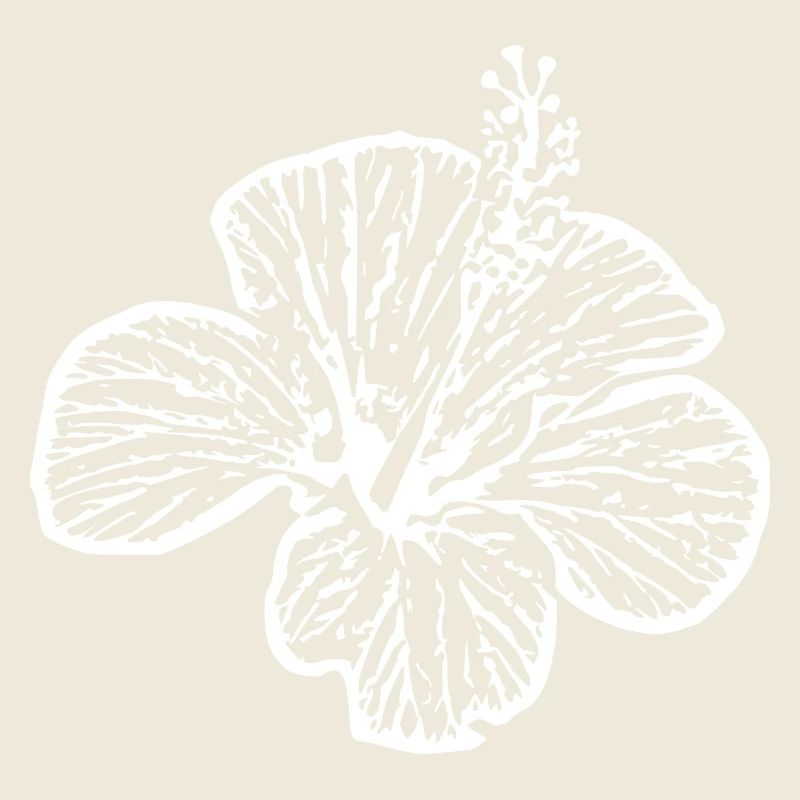 Fleur Fleur Blanche Fleur D’hibiscus