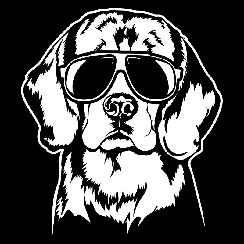 Beagle Cool Chien Portrait Chien Wilsigns