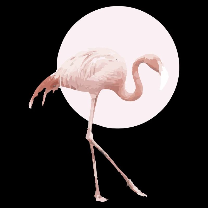 Flamant rose