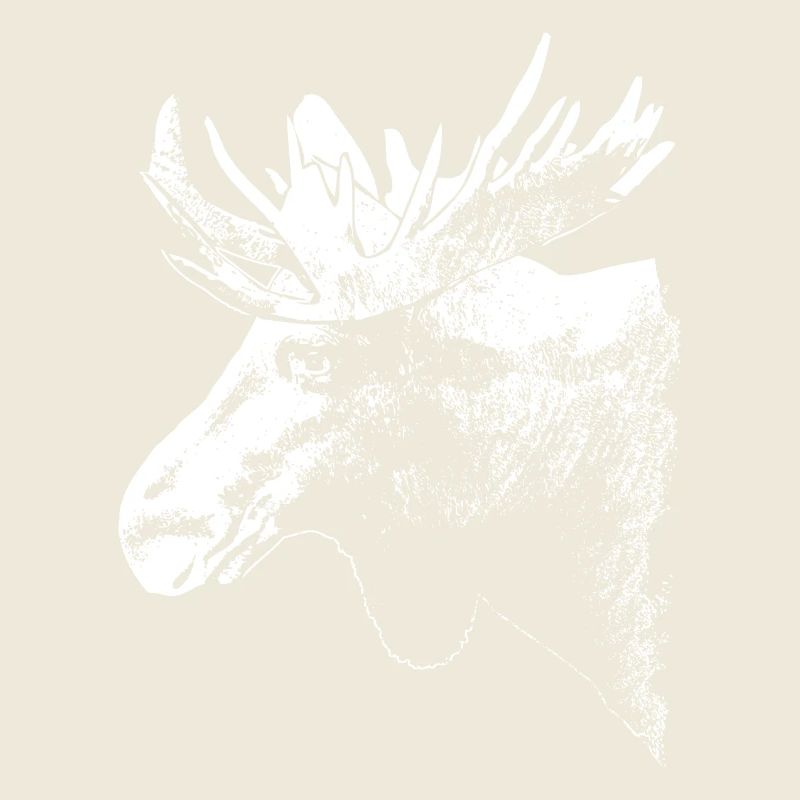 Elch - Moose