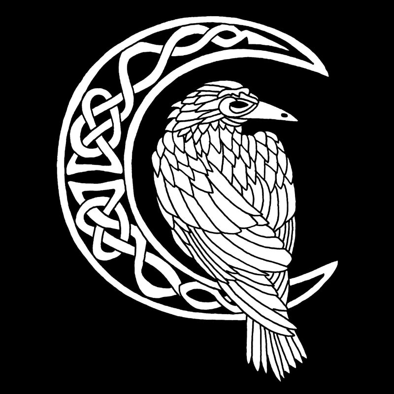 Le corbeau blanc et la lune