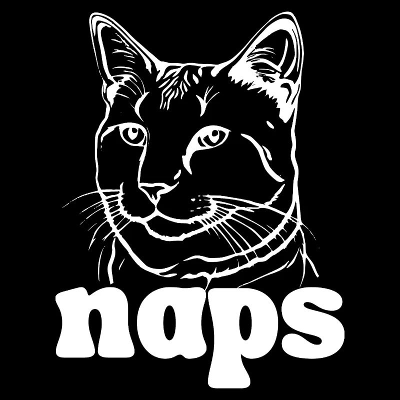 Naps said by the cat
