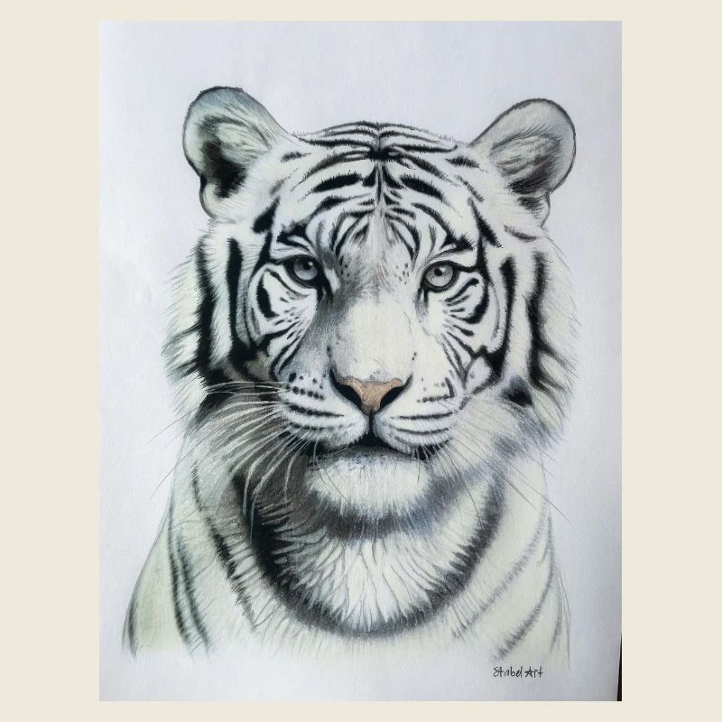 White Tiger - Weisser Tiger
