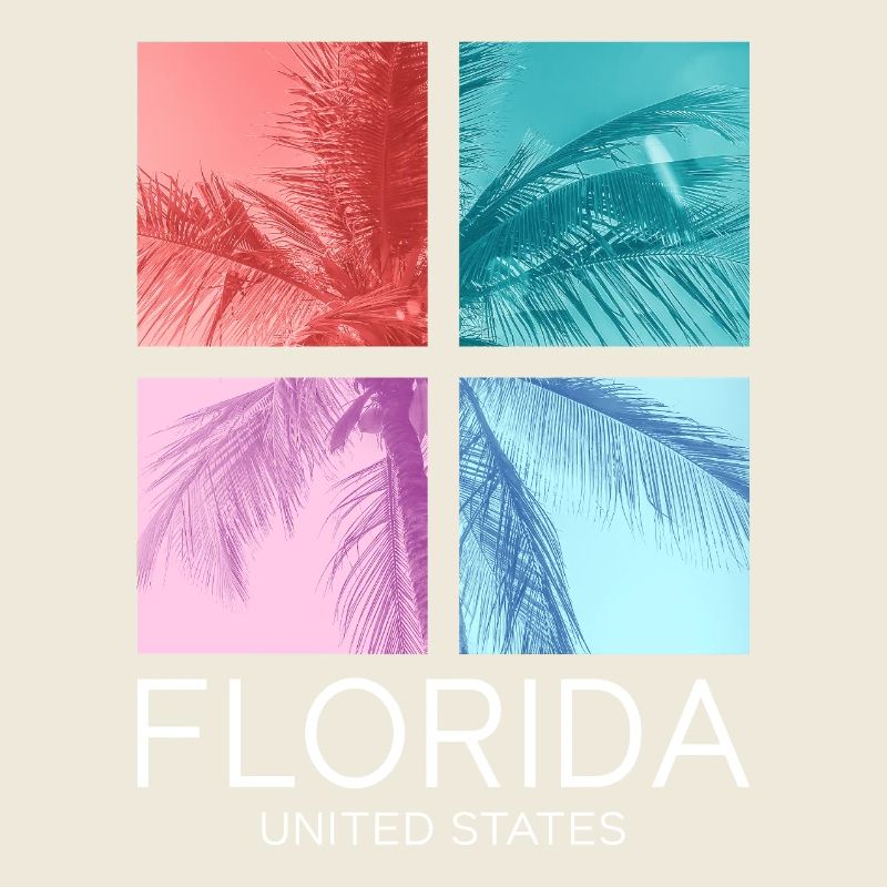 Florida USA Miami America Summer Palm Trees Beach
