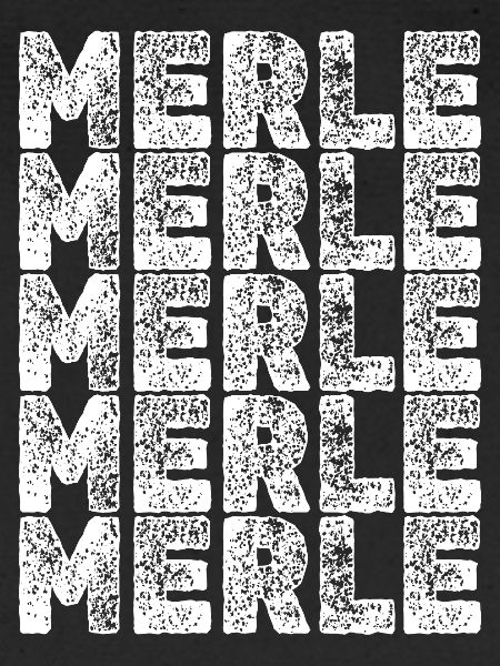 Held Merle