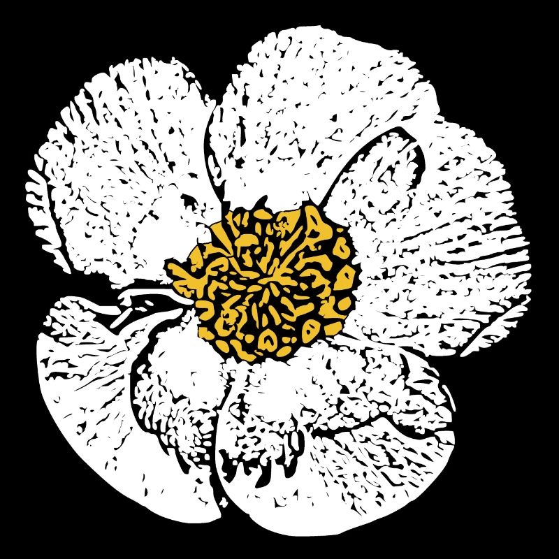 Blume weiß weiße Blumen Geschenk Muttertag Mutter