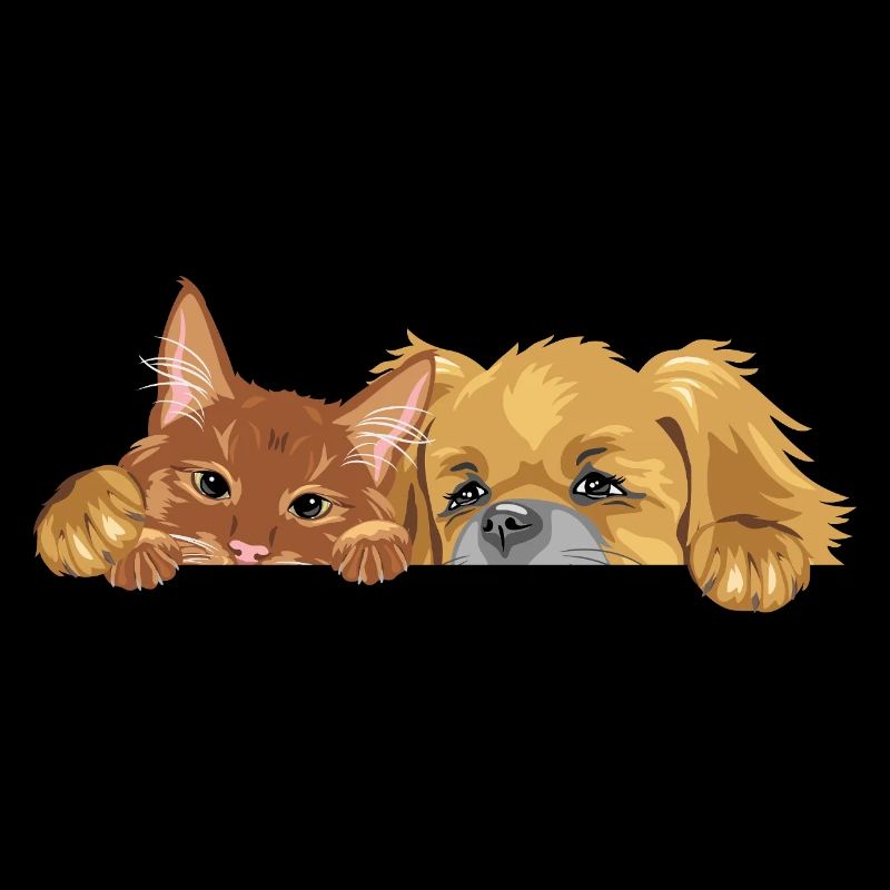 Chat roux et chien pékinois