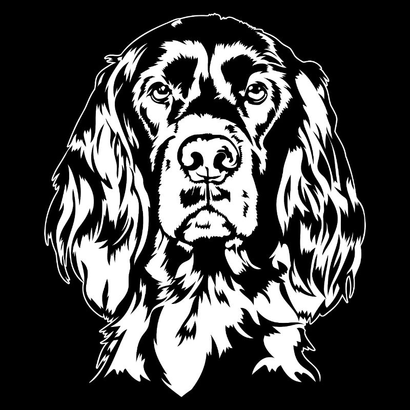 Irish Setter Jagdhund Jagdhunde Hunde Wilsigns