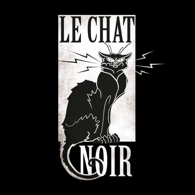 le chat noir chat noir grunge français