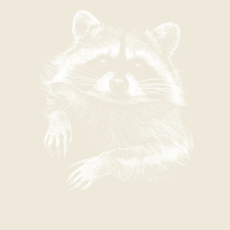 racoon