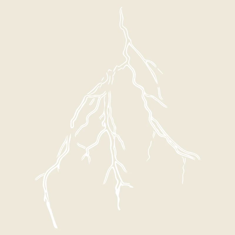 Wetter Blitz Vector Gewitterfront