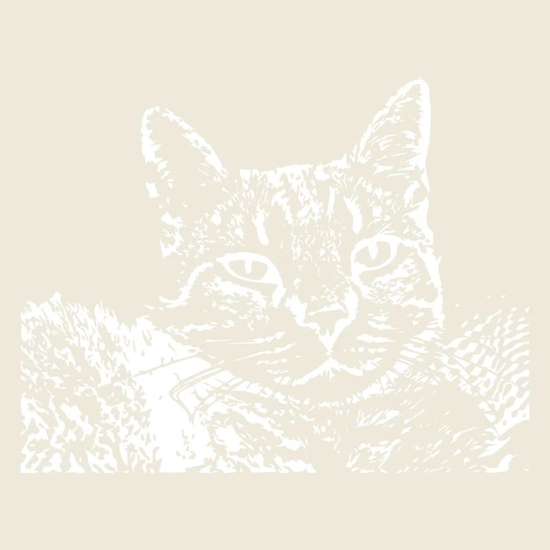 Chat Blanc Blanc Chats