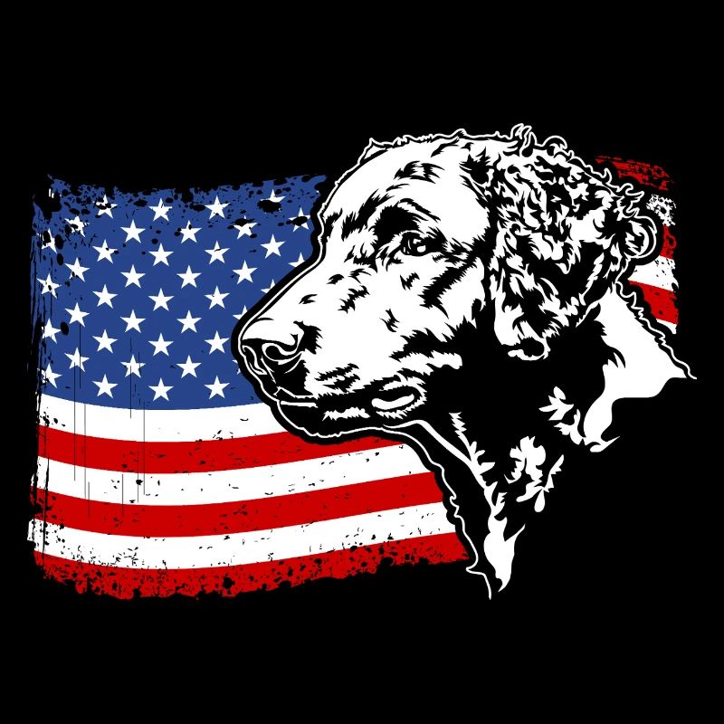 Retriever à poil bouclé Drapeau de l’Amérique Wilsigns
