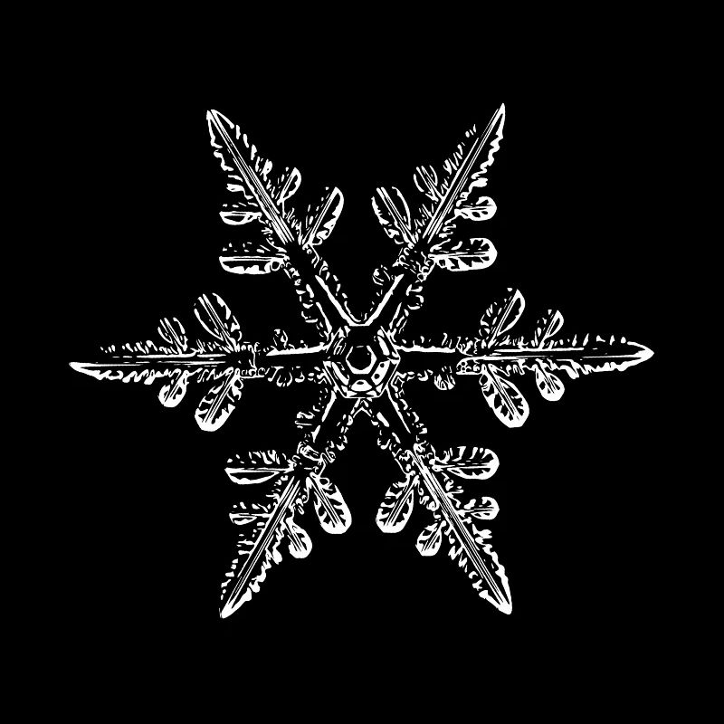 snowflake 8 white