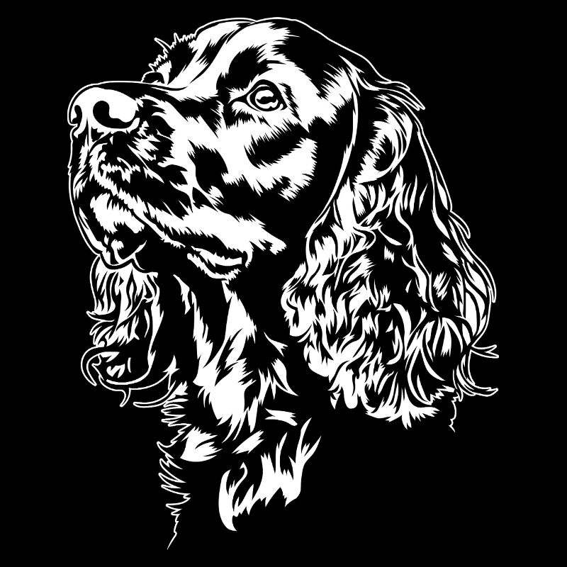 Cocker Spaniel Portrait Hunde Hund Wilsigns