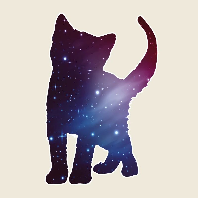 Cat Kitten Silhouette Cat Space Space Gift