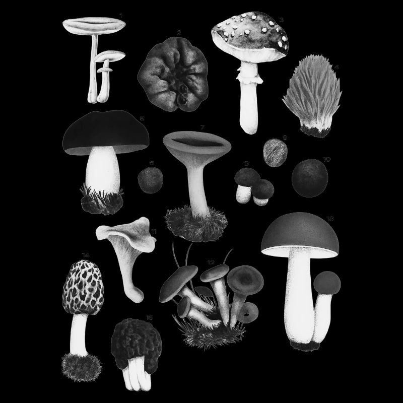 Forest Gems – Botanical Wild Mushroom Composition