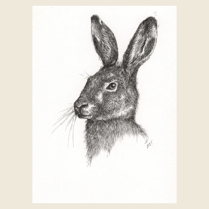 Not just another Rabbit
