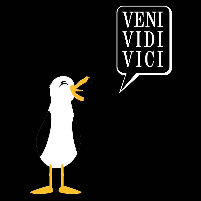 Seagull / Seagull (3c)