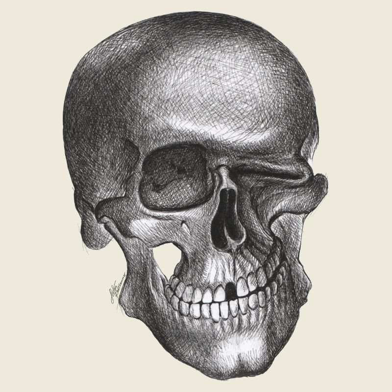 Winking Skull - Skull