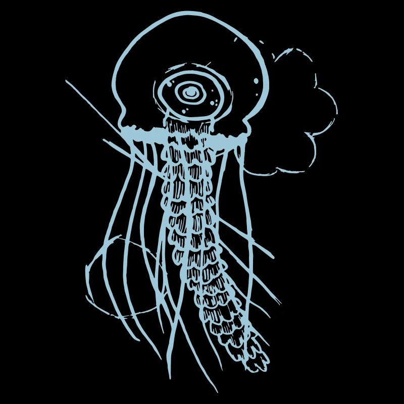 jellyfish