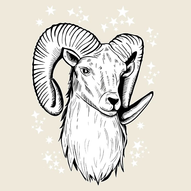 Widder Astrologie Geburtstag