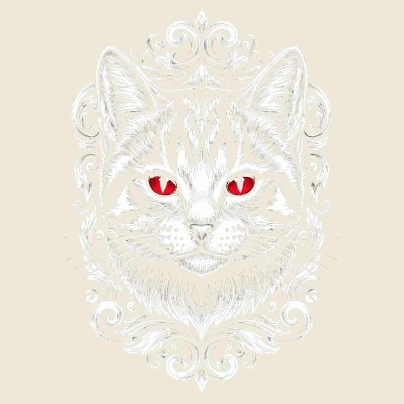 Gothic Katze mit lila Augen - Süßes Kätzchen