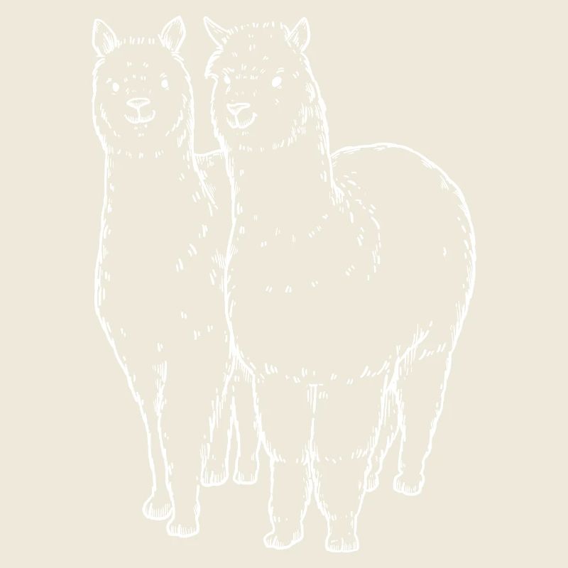Two Alpaca Llama Lines Drawing
