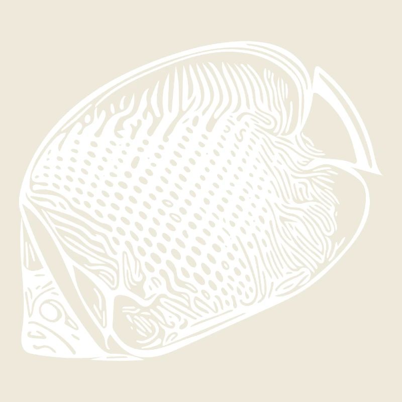 Vintage Kaiserfisch