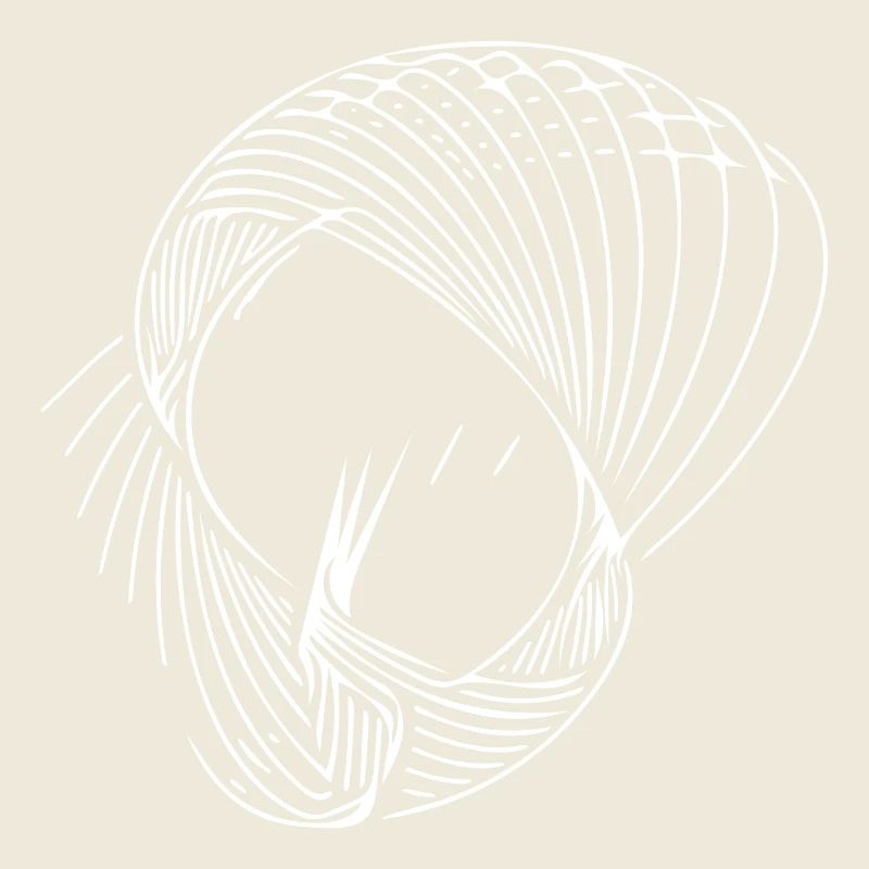 Geometric circle lines