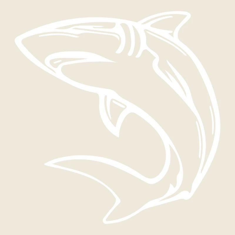 Elegant deep-sea shark