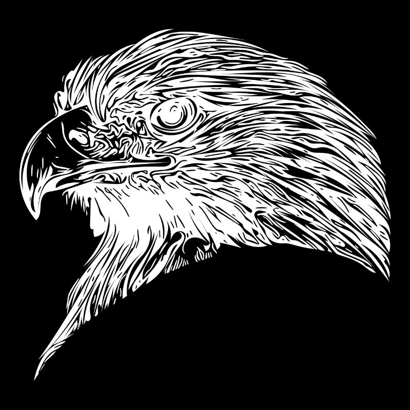 Eagle Portrait for bird lovers and falconers
